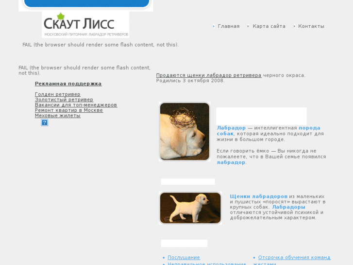 www.labradorhelp.ru