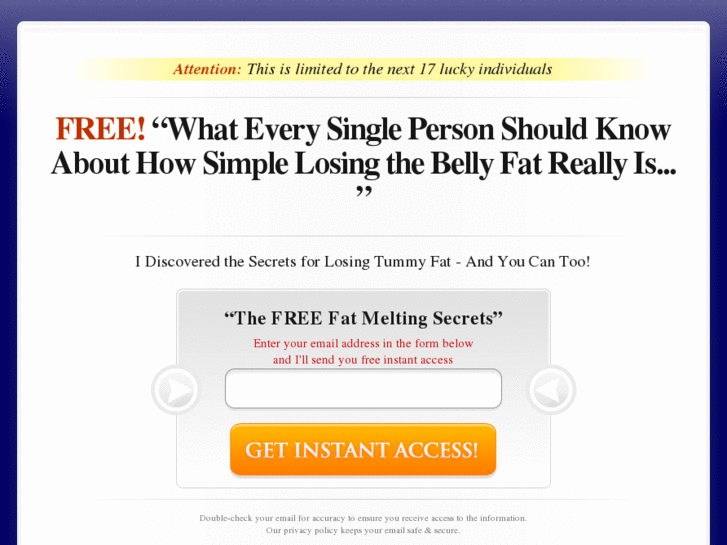 www.losingthebellyfat.net