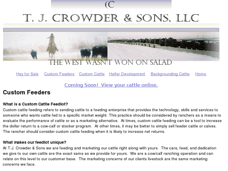 www.tjcrowder.com