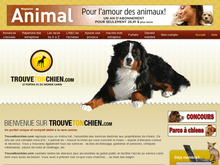 www.trouvetonchien.com