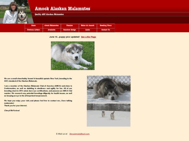 www.amookalaskanmalamutes.com