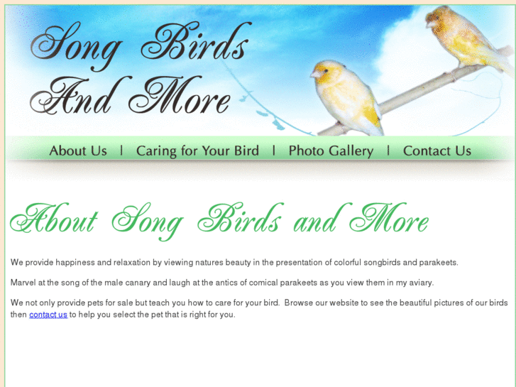 www.countrysongbirdsandmore.com