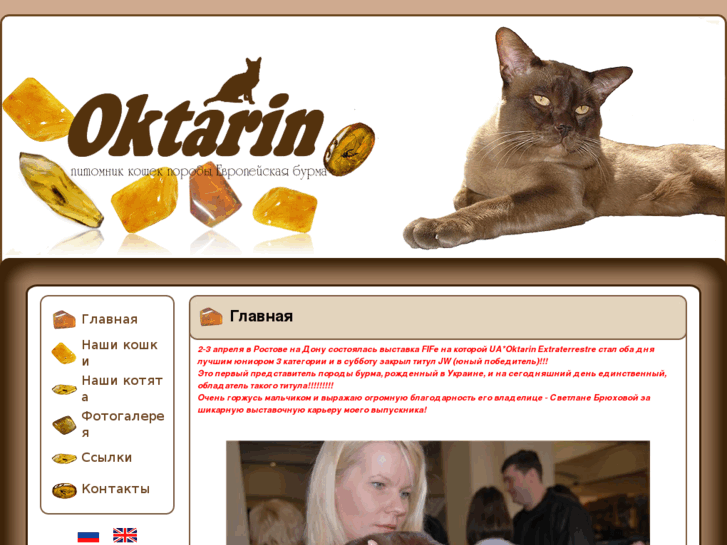 www.oktarin-burmese.com