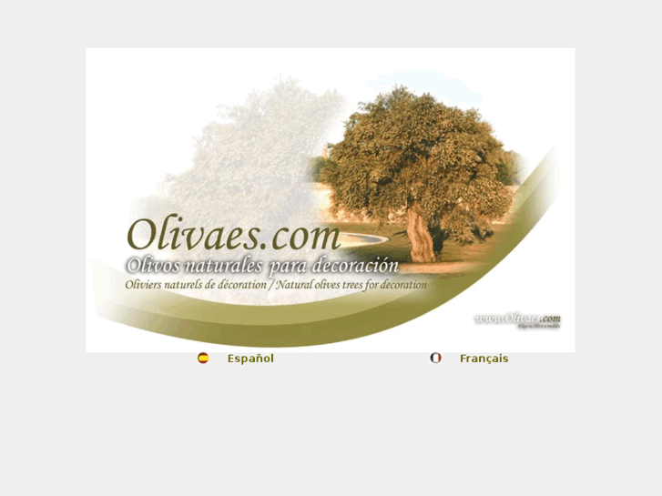 www.olivaes.com