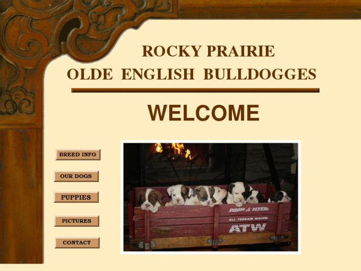 www.rockypraireoldebulldogges.com