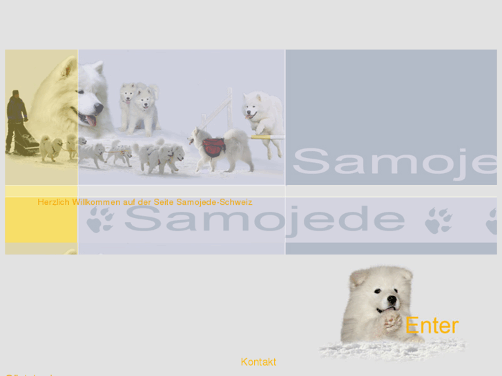 www.samojede-schweiz.ch