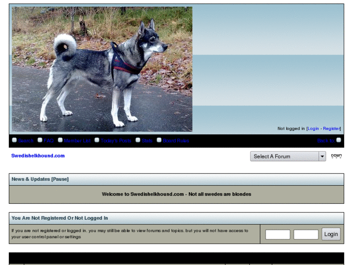 www.swedishelkhound.com