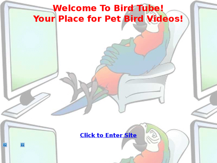 www.bird-tube.com