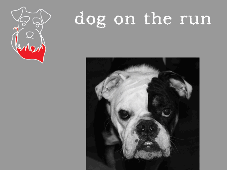 www.dogontherun.com