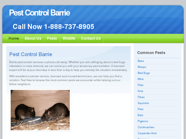 www.pestcontrolbarrie.com