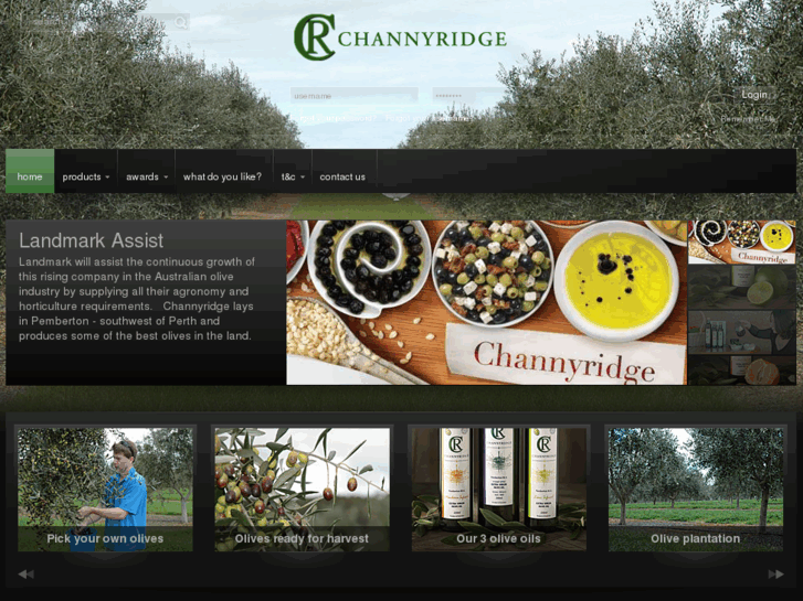 www.channyridge.com