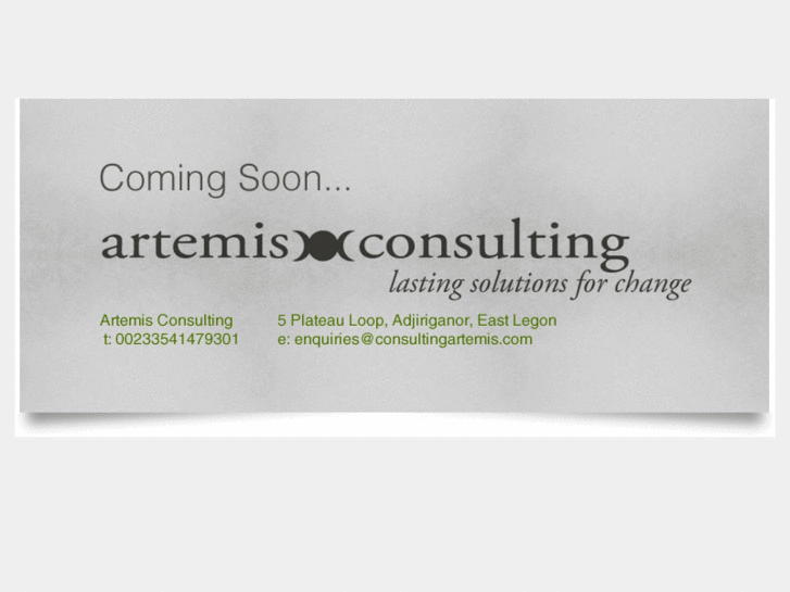 www.consultingartemis.com