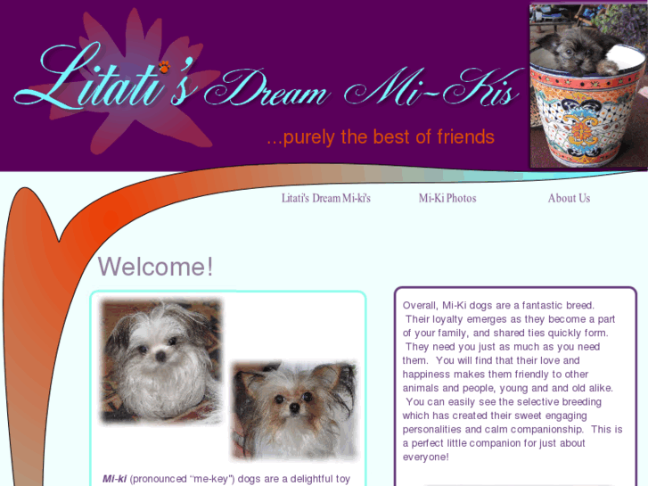 www.litatisdreammikis.com