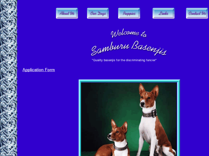 www.samburubasenjis.com