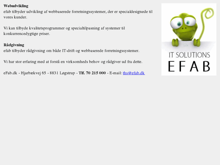 www.efab.dk