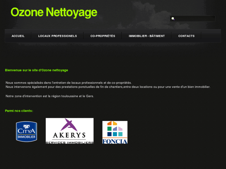 www.ozone-nettoyage.com