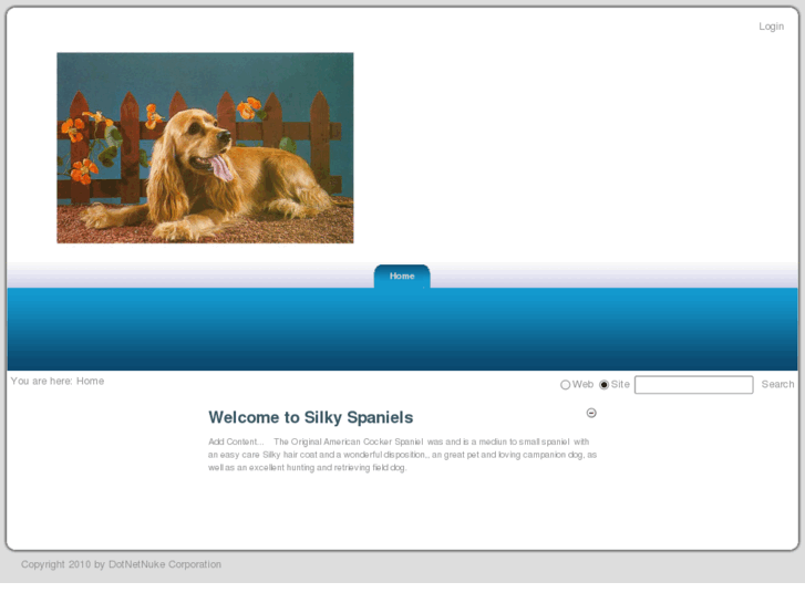 www.silkyspaniels.com