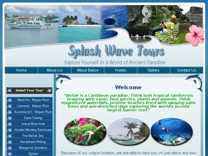 www.splashwavetour.com