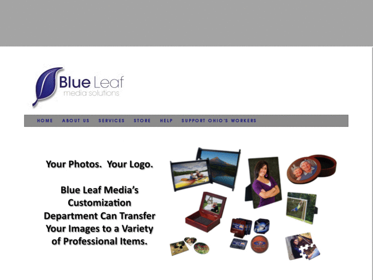 www.blueleafmediasolutions.com