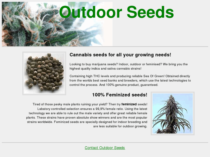 www.outdoorseeds.com