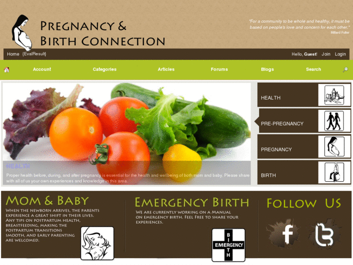 www.pregnancyandbirthconnection.com