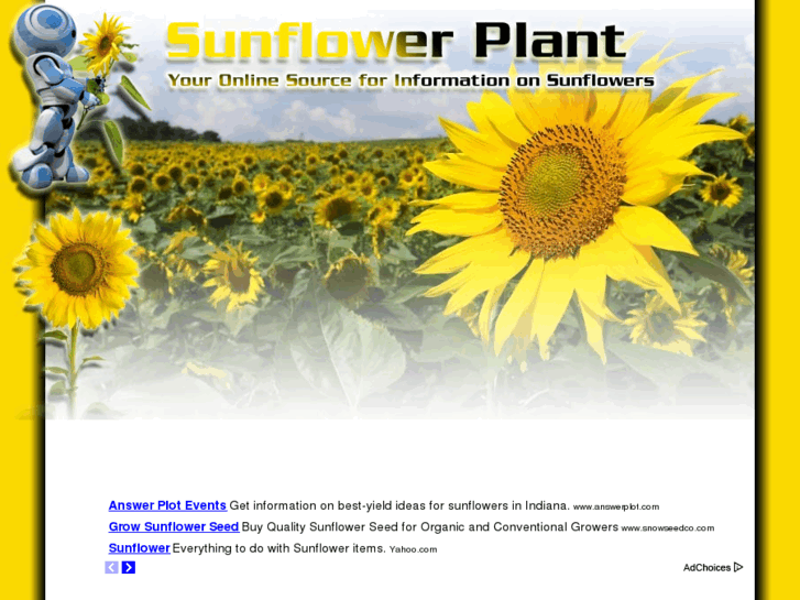 www.sunflower-plant.com