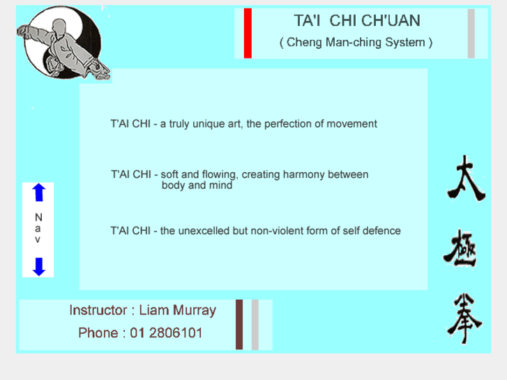 www.taichi-dublin.com