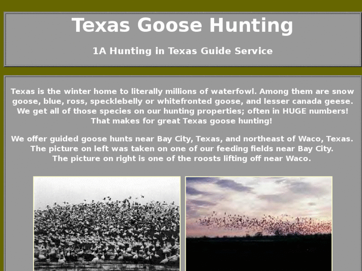 www.1atexasgoosehunting.com