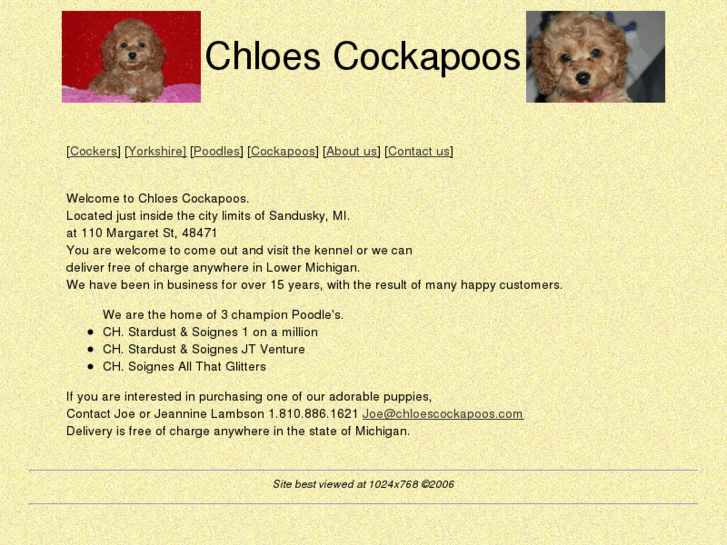 www.chloescockapoos.com