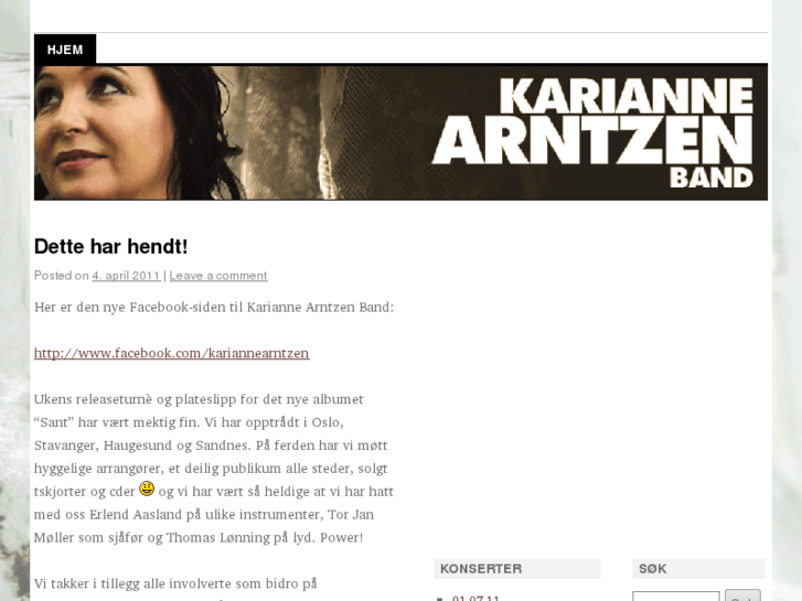 www.kariannearntzen.com