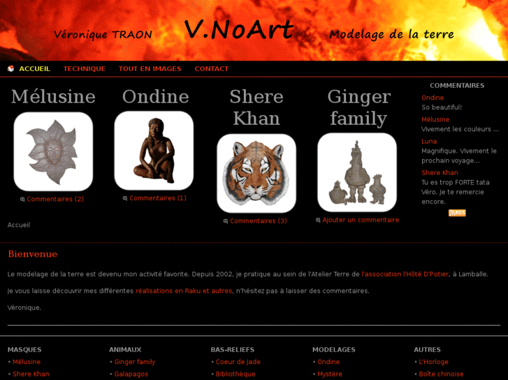 www.vnoart.com