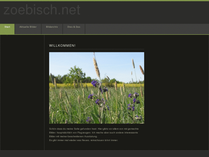 www.zoebisch.net