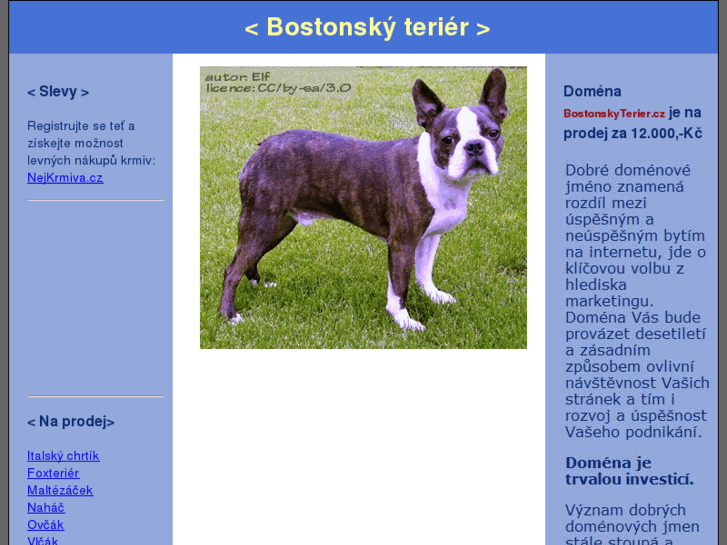 www.bostonskyterier.cz