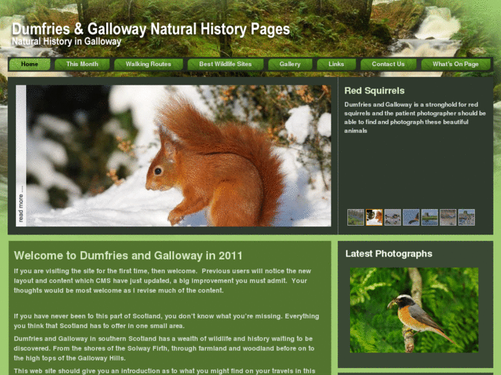 www.dumfriesandgallowaynaturalhistory.co.uk