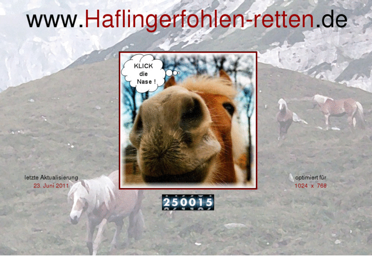 www.haflingerfohlen-retten.de