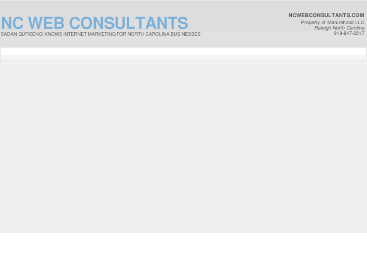 www.ncwebconsultants.com