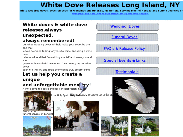 www.whitewingsnydovereleases.com