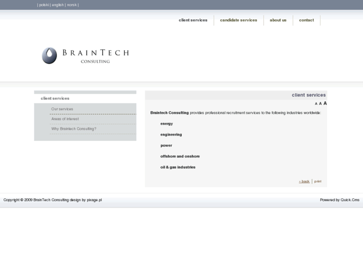 www.braintechconsulting.com