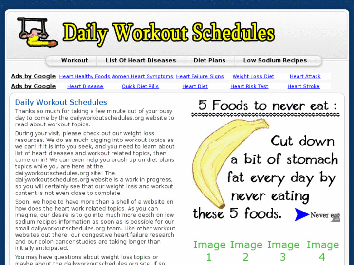 www.dailyworkoutschedules.org