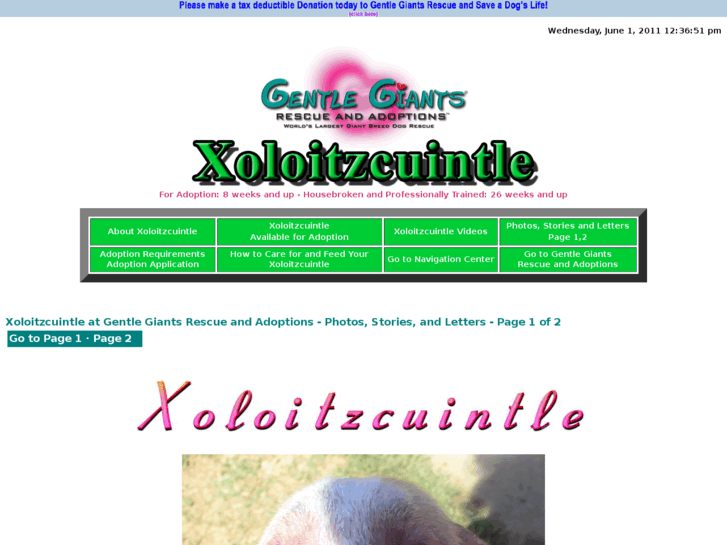 www.gentlegiantsrescue-xoloitzcuintle.com