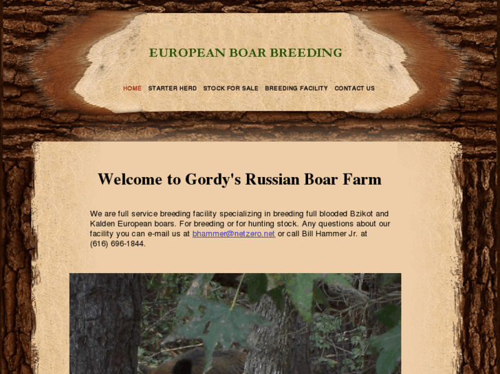 www.gordysrussianboarfarm.com