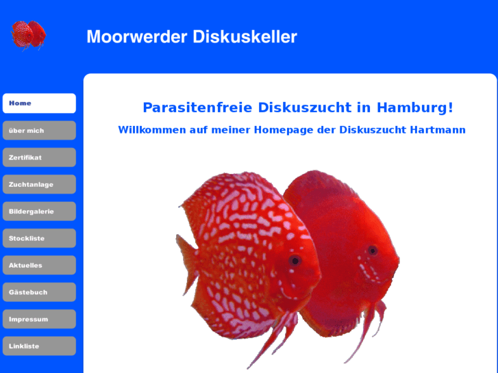 www.moorwerder-diskuskeller.de