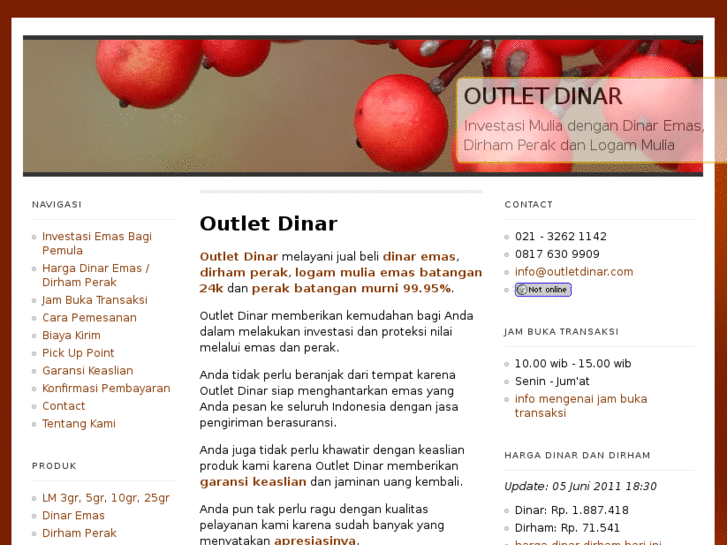 www.outletdinar.com