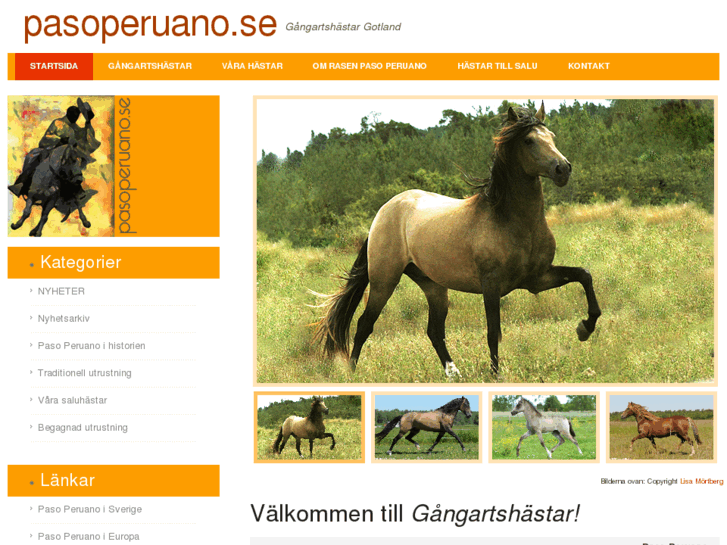 www.pasoperuano.se