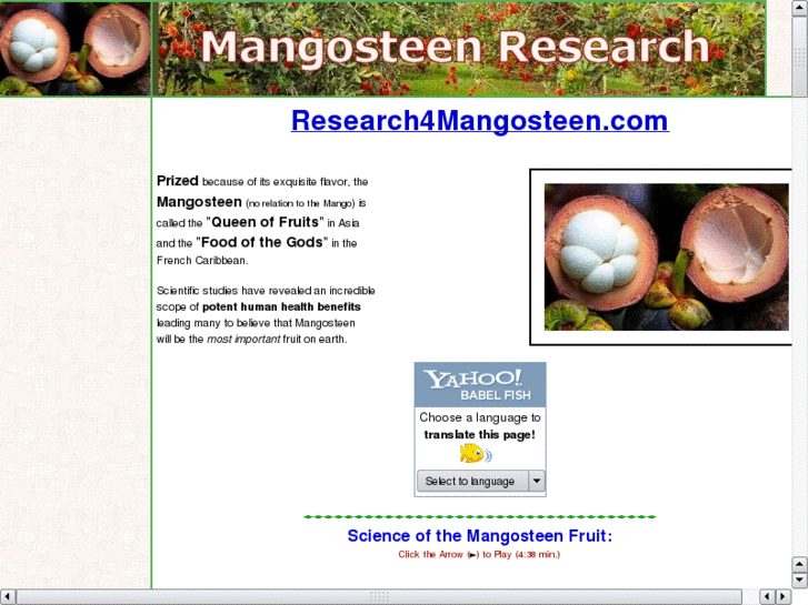 www.research4mangosteen.com
