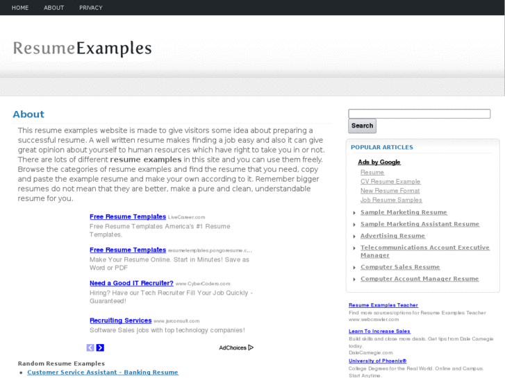 www.resume-examples.info