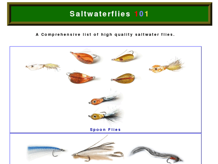 www.saltwaterflies101.com