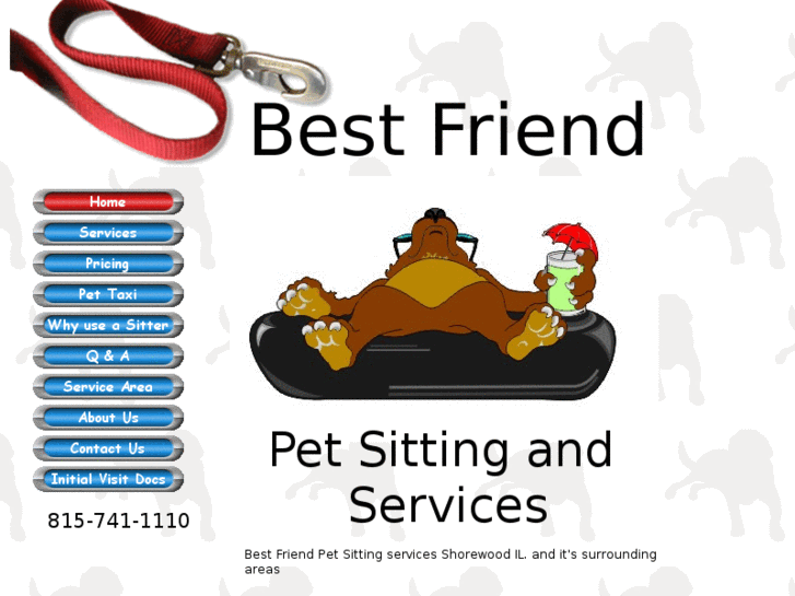 www.bfpetsitting.com