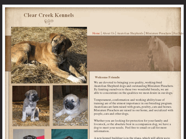 www.clearcreekkennels.com