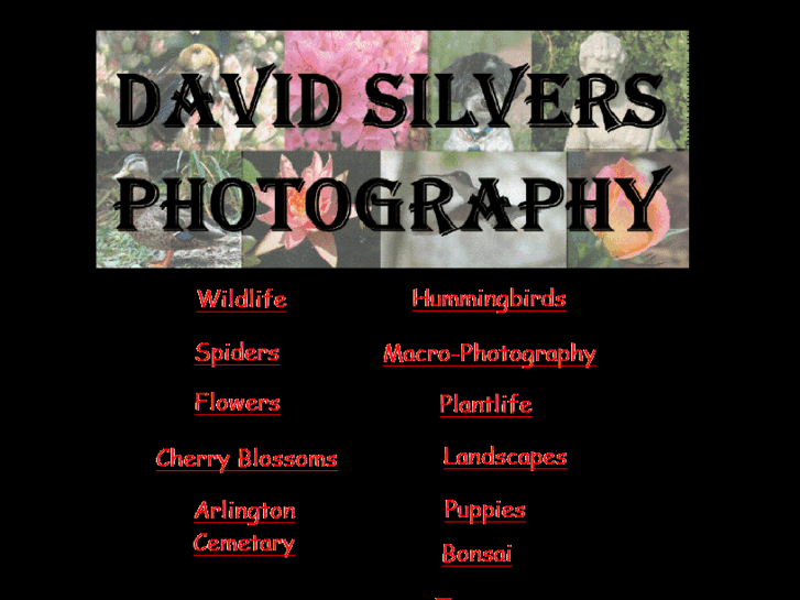 www.dsilvers.com